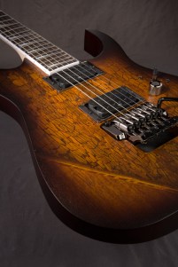 Seymour_Duncan My Future Baby...Ibanez Seymour Duncan!